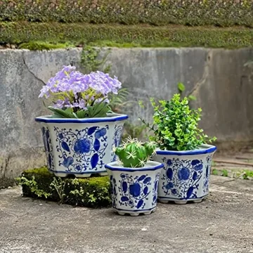 HakkaGirl Ceramic Flower Pots, White Ceramic Planter Plant Pots Indoor Decorative for Succulent Cactus Herb Orchid or Small Plants with Trays, Set of 3