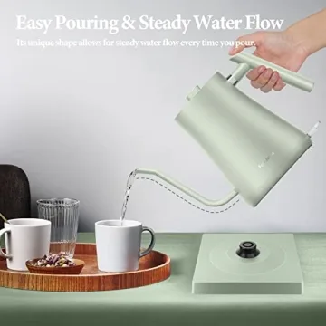 Fabuletta Gooseneck Electric Kettle 1500W Fast Boil