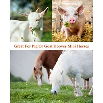 8 inch Farrier Hoof Tool Kit（5 Piece） Mini Rasp Hoof File Goat Pig Equine Metal Shears Farriers ...