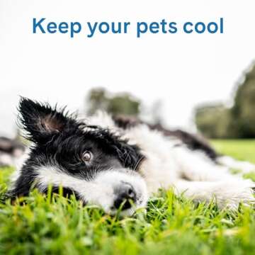 The Green Pet Shop Cool Pet Pad - Small, Blue - Self-Cooling, Pressure Activated Mat for Dogs & Cats...