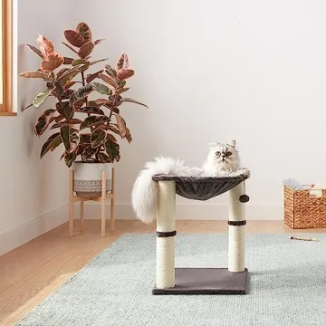 Stylish Amazon Basics Cat Tower for Happy Indoor Cats