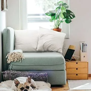 EDOW Throw Pillow Insert, Set of 2 Down Alternative Polyester Square Form Decorative Pillow, Cushion,Sham Stuffer. (White, 26x26)