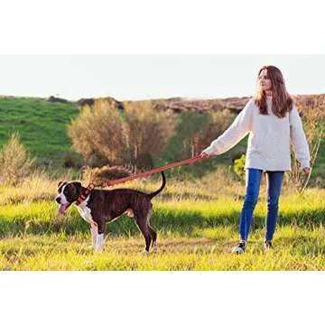 Reflective Dog Collar and Leash Set with Safety Locking Buckle Nylon Pet Collars Adjustable for Small Medium Large Dogs 3 Sizes(Red&S)