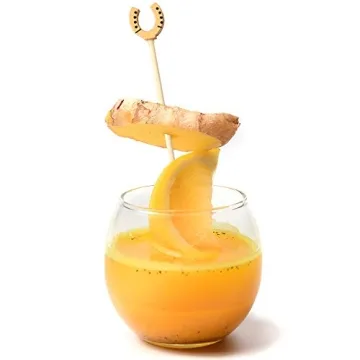 Lucky Horseshoe Picks for Equestrian Events - Eco-Friendly