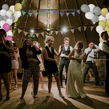 WinSpin 8x10' Adjustable Backdrop Stand for Events