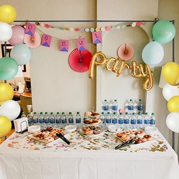 WinSpin 8x10' Adjustable Backdrop Stand for Events