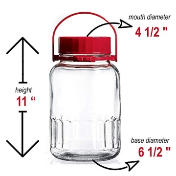 1 Gallon Glass Jar With Lid for Brewing and Storage