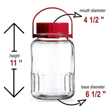 1 Gallon Glass Jar With Lid for Brewing and Storage