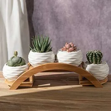 E-liu Succulent Pots and Stand Set, Ceramic White Succulent Planter Pot with Drainage, Pack of 4, Cute Office Garden Indoor Decoration, Plants Not Included