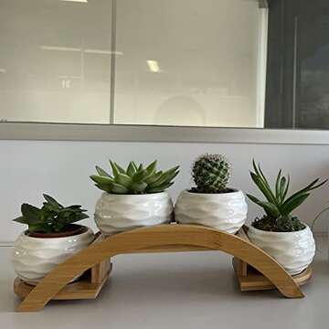 E-liu Succulent Pots and Stand Set, Ceramic White Succulent Planter Pot with Drainage, Pack of 4, Cute Office Garden Indoor Decoration, Plants Not Included