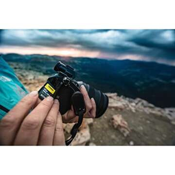 Sony TOUGH-G series SDXC UHS-II Card 64GB, V90, CL10, U3, Max R300MB/S, W299MB/S (SF-G64T/T1), Black