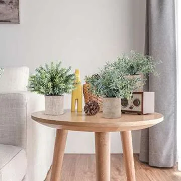 Mini Potted Eucalyptus Plants for Home Decor