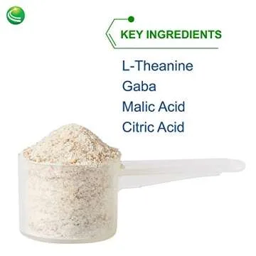 Nutra BioGenesis - Focus Fizz - B Vitamins, GABA and Rhodiola for Focus, Memory and Healthy Stress Response - Gluten Free, Vegan, Powder - 150 g