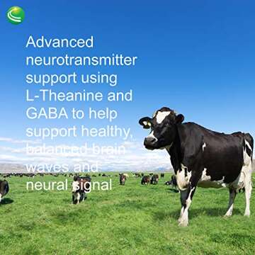 Nutra BioGenesis - Focus Fizz - B Vitamins, GABA and Rhodiola for Focus, Memory and Healthy Stress Response - Gluten Free, Vegan, Powder - 150 g