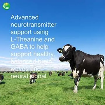 Nutra BioGenesis - Focus Fizz - B Vitamins, GABA and Rhodiola for Focus, Memory and Healthy Stress Response - Gluten Free, Vegan, Powder - 150 g