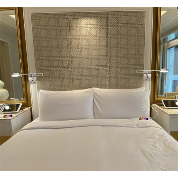 HomeFocus LED Swing Wall Lamp with USB Charging