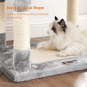 Luxury Cat Tree with Scratching Post and Basket Lounger