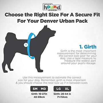 Outward Hound Denver Urban Pack Dog Backpack, Small/Medium