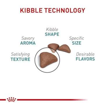 Royal Canin Hairball Care Dry Cat Food, 14 lb bag