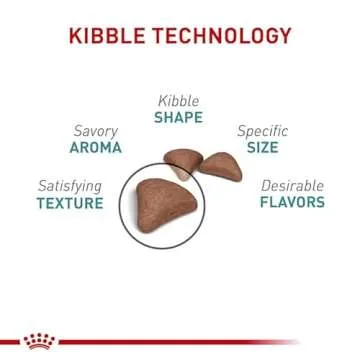 Royal Canin Hairball Care Dry Cat Food, 14 lb bag