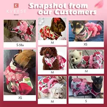 KYEESE Dogs Dresses Floral Rose with Flowers Decor Elegant Princess Doggie Dress for Small Dogs Spring Summer Puppy Dress Dog Clothes