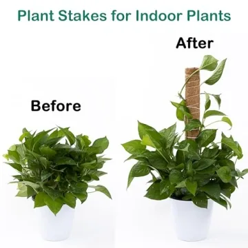 63 Inch Moss Pole for Plants Monstera, 4 Pack 19.9 Inch Moss Poles for Climbing Plants Monstera, Plant Stakes for Indoor Plants, Coco Coir Monstera Plant Support Stakes