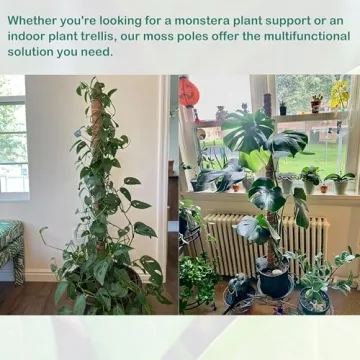 63 Inch Moss Pole for Plants Monstera, 4 Pack 19.9 Inch Moss Poles for Climbing Plants Monstera, Plant Stakes for Indoor Plants, Coco Coir Monstera Plant Support Stakes