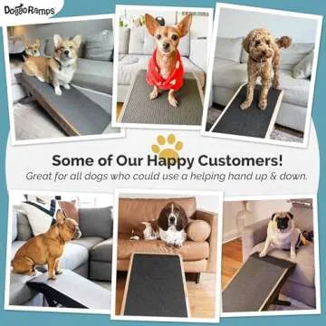 Premium Dog Ramp for Couch - Adjustable Solid Maple Design