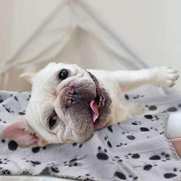 EAGMAK Cute Dog Cat Fleece Blankets with Paw Prints for Kitten Puppy and Small Animals Pack of 6 (Black, Brown, Blue, Grey, red and White)