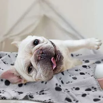 EAGMAK Cute Dog Cat Fleece Blankets with Paw Prints for Kitten Puppy and Small Animals Pack of 6 (Black, Brown, Blue, Grey, red and White)