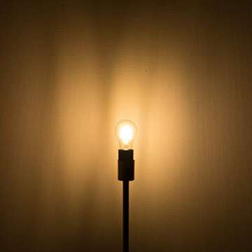 Haian Support Efficient 12V LED Bulb 6W 600Lm - E26/E27 Base - 12-24V AC/DC - 4 Pack - Ideal for Off-Grid Solar Battery Systems, RVs, Marine Lighting - Energy Saving 60W Equivalent - Warm White 2700K