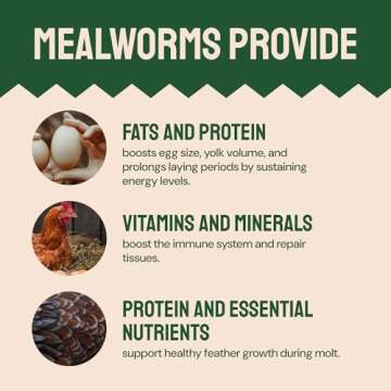 Hatortempt Bulk Dried Mealworms 10 Lbs - Non-GMO Mealworms for Chicken & Birds - Chicken Feed Treats for Laying Hens - Chick Feed - Organic Chicken Feed