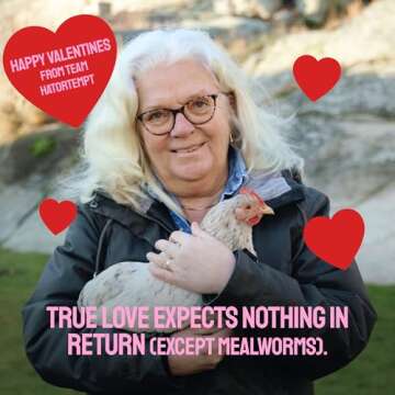 Hatortempt Bulk Dried Mealworms 10 Lbs - Non-GMO Mealworms for Chicken & Birds - Chicken Feed Treats for Laying Hens - Chick Feed - Organic Chicken Feed