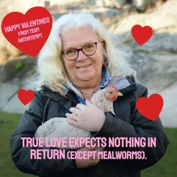 Hatortempt Bulk Dried Mealworms 10 Lbs - Non-GMO Mealworms for Chicken & Birds - Chicken Feed Treats for Laying Hens - Chick Feed - Organic Chicken Feed