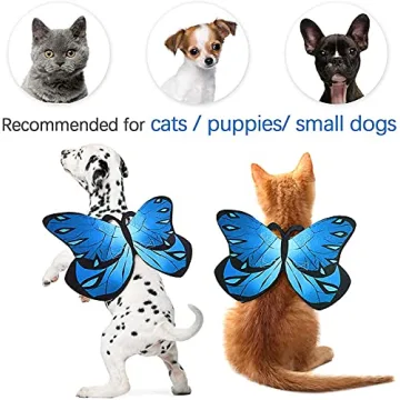 Cute Pet Cat Bat Wings for Halloween Costume Fun