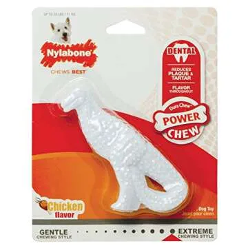 Nylabone Dental Dinosaur Power Chew Toy for Dogs, Dog Toys for Aggressive Chewers, Chicken Flavor, S...