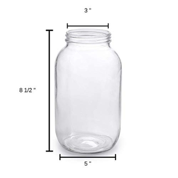 1790 Half Gallon Glass Jars - Perfect for Brewing and Storing