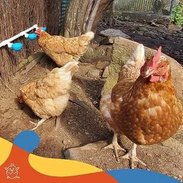 Lil'Clucker Large Automatic Chicken Waterer Cups and 1/2" PVC Tees - Chicken Water Feeder - Suitable for Chicks, Duck, Goose, Turkey and Bunny - Poultry Water Feeder Kit - 5 Pack (Blue)