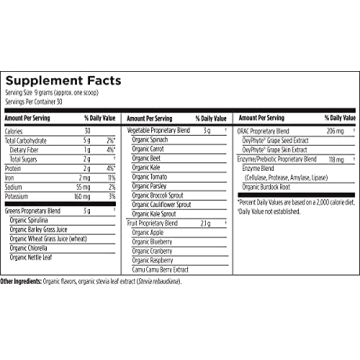 Designs for Health PaleoGreens - Organic Green Shake Powder 30 Servings