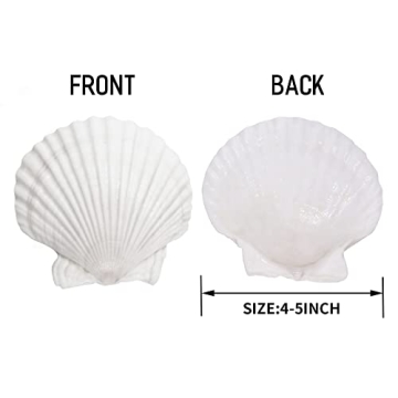 Giftvest 10PCS Natural White Scallop Shells for Crafts