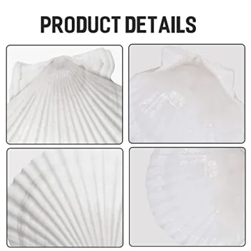 Giftvest 10PCS Natural White Scallop Shells for Crafts