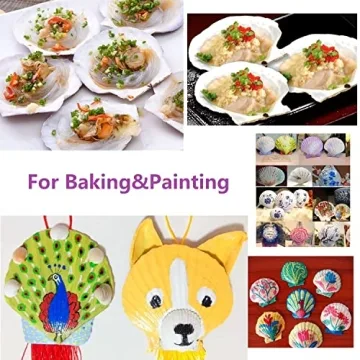 Giftvest 10PCS Natural White Scallop Shells for Crafts