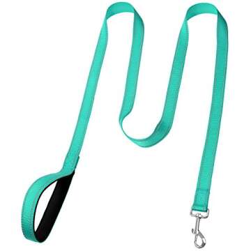 FunTags 6FT Reflective Dog Leash with Soft Padded Handle for Training,Walking Lead for Large, Medium...