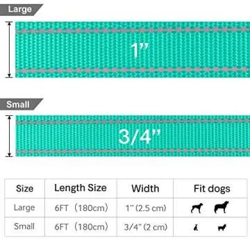 FunTags 6FT Reflective Dog Leash with Soft Padded Handle for Training,Walking Lead for Large, Medium,Turquoise