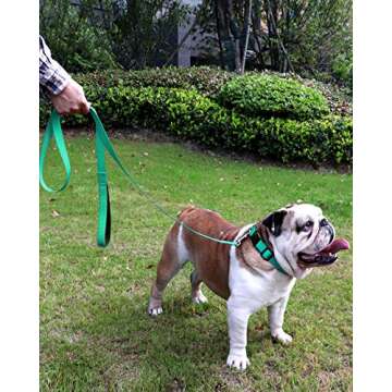 FunTags 6FT Reflective Dog Leash with Soft Padded Handle for Training,Walking Lead for Large, Medium,Turquoise