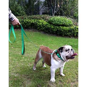 FunTags 6FT Reflective Dog Leash with Soft Padded Handle for Training,Walking Lead for Large, Medium,Turquoise