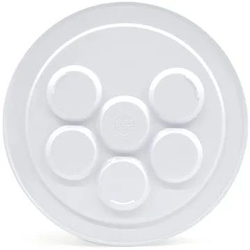 Children's Passover Melamine Seder Plate for Fun