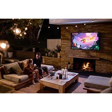SAMSUNG 65-inch QLED Outdoor TV with Alexa and 4K HDR