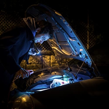 EverBrite Mini Flashlight Set - 6 LED Torches