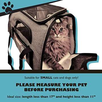 Pawfect Pets Pet Travel Carrier, Soft-Sided with Two Pet Mats for Small Dogs and Cats (Grey)